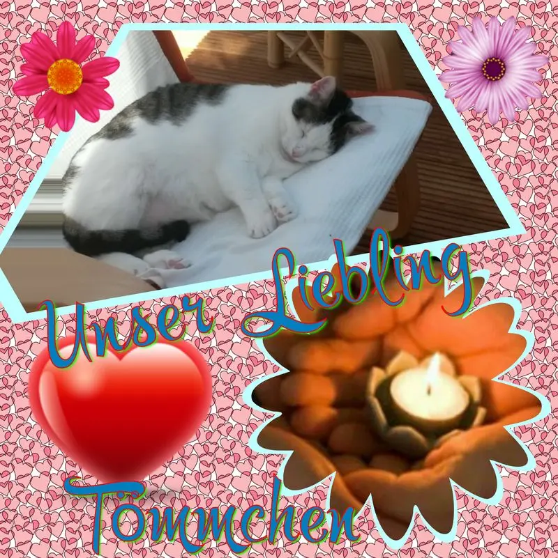 Andachtsbild von ❤Deine Mutti Eike und Oma Edeltraud ❤