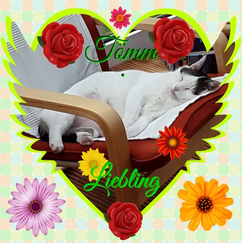 Andachtsbild von ❤Deine Mutti Eike und Oma Edeltraud ❤