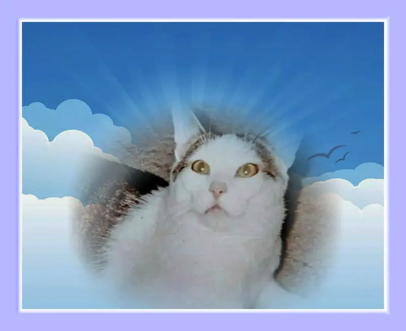 Andachtsbild von Sabine mit Kaspar tief im Herzen