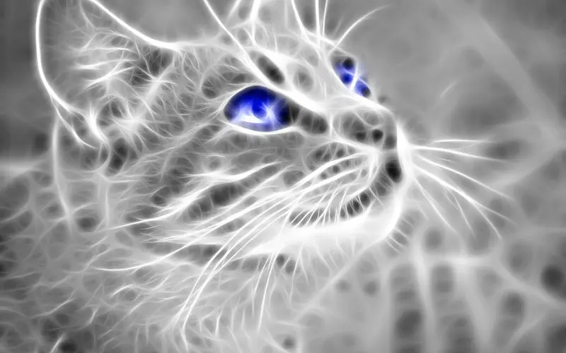 Andachtsbild von Tanja mit Timmy im Herzen 