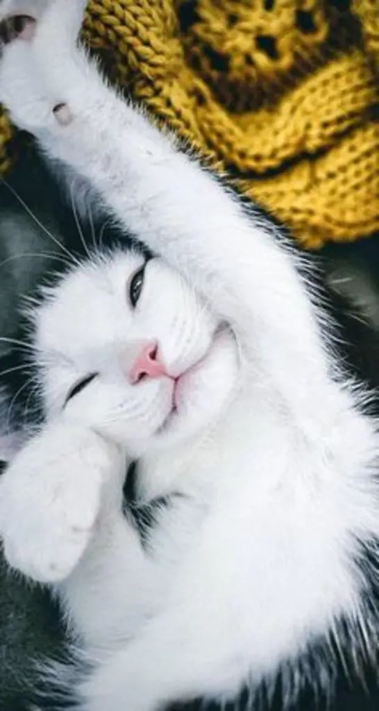 Andachtsbild von Tanja mit Timmy im Herzen