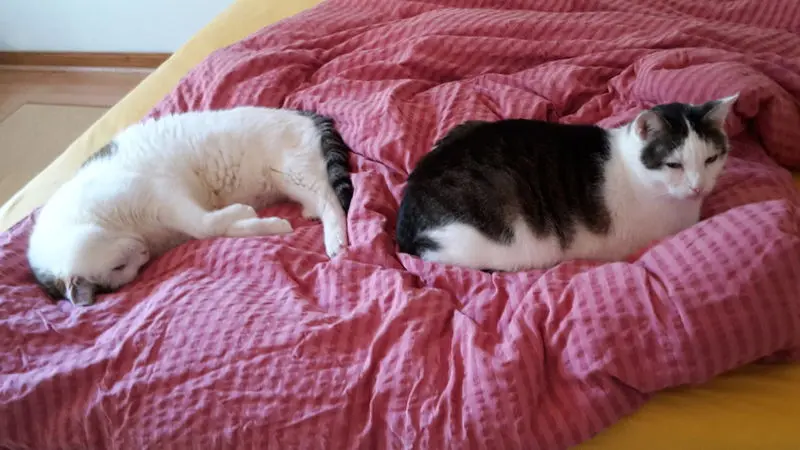 Andachtsbild von ❤Deine Mutti Eike und Oma Edeltraud ❤