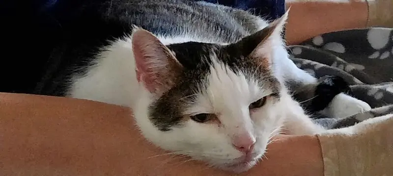 Andachtsbild von ❤Deine Mutti und deine Oma ❤