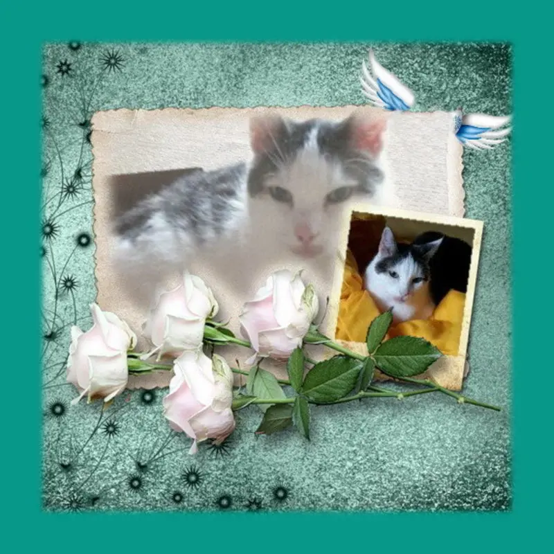 Andachtsbild von Sabine mit Kaspar tief im Herzen