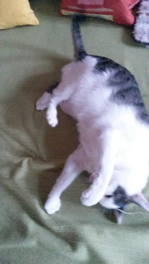 Andachtsbild von ❤Deine Mutti Eike und Oma Edeltraud ❤