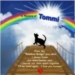 Andachtsbild von Tanja mit Timmy im Herzen