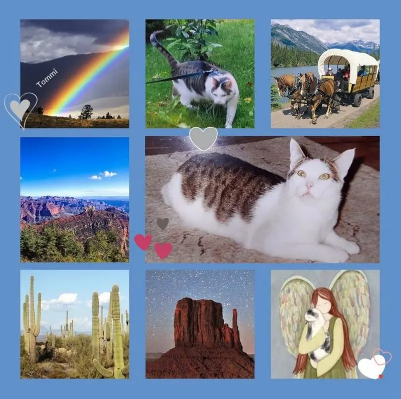 Andachtsbild von Rosen für Tommi zum 1. Sternchengeburtstag