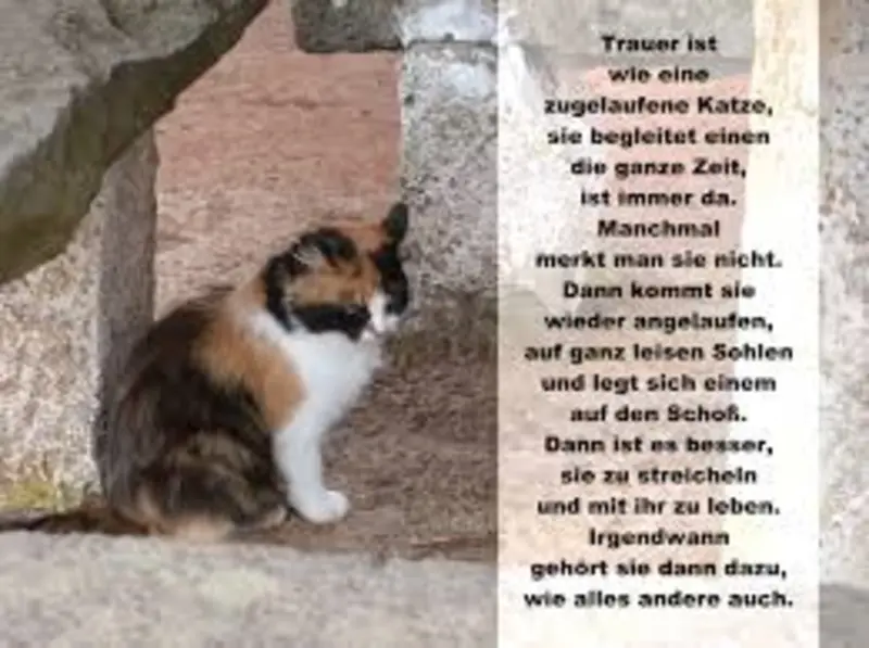 Andachtsbild von Brigitte mit Nelly, Benny und Axel im Herzen