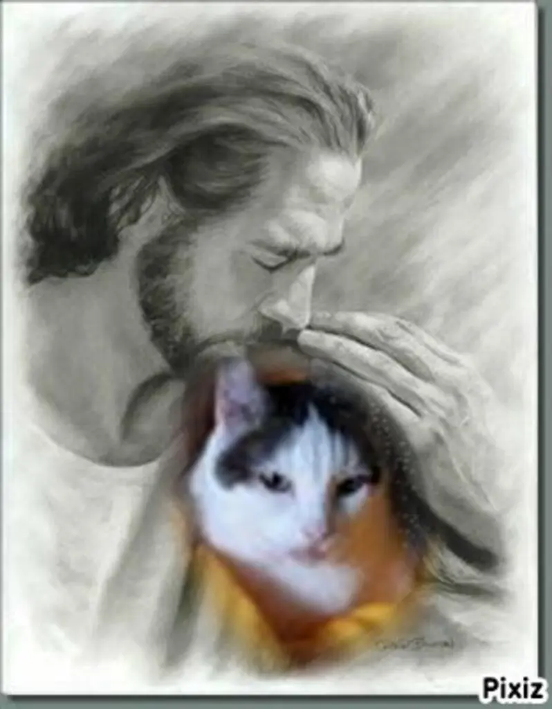 Andachtsbild von ❤️❤️❤️❤️❤️❤️❤️❤️❤️❤️❤️❤️❤️❤️