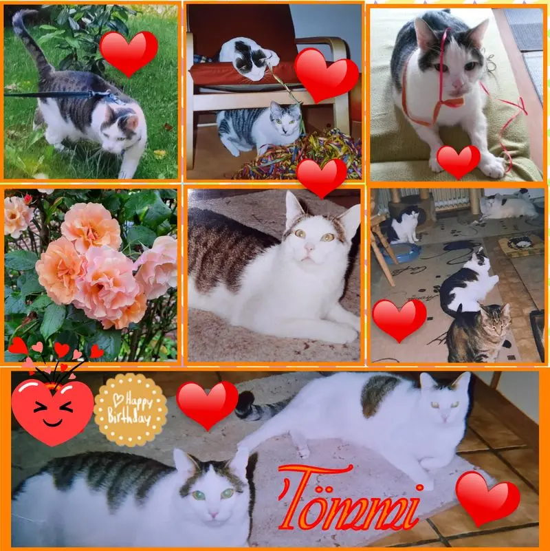 Andachtsbild von ❤Deine Mutti Eike und Oma Edeltraud ❤