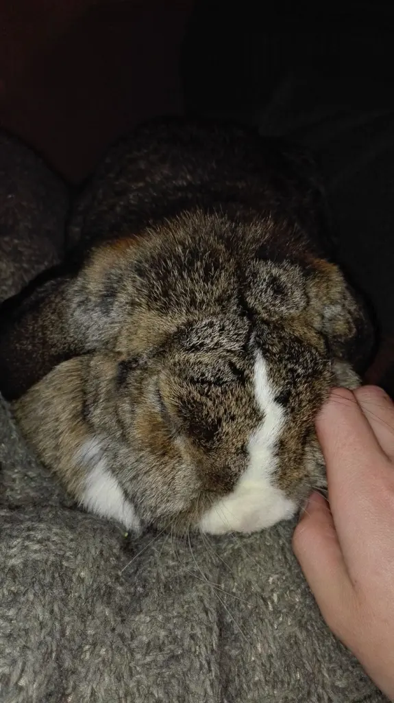 Andachtsbild von Unvergessen ❤️ 