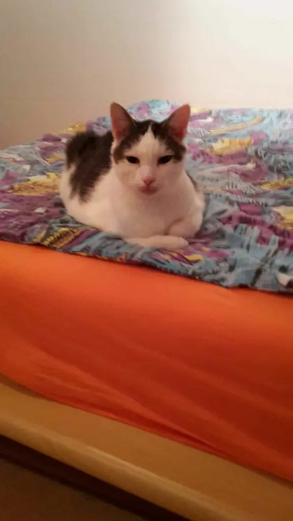 Andachtsbild von ❤Deine Mutti Eike und Oma Edeltraud ❤ 