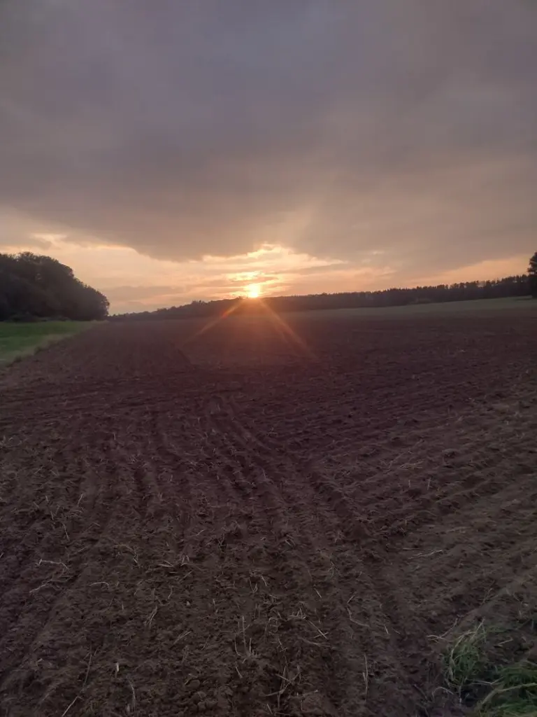 Andachtsbild von Corinna mit Emma, Pummelchen und anderen Sternlein im Herzen