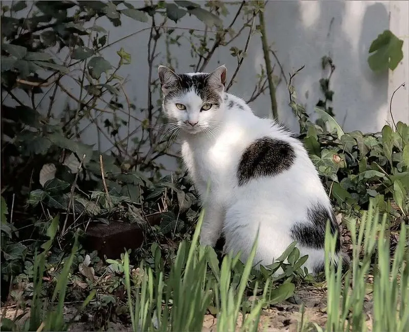 Andachtsbild von Tanja mit Timmy im Herzen 