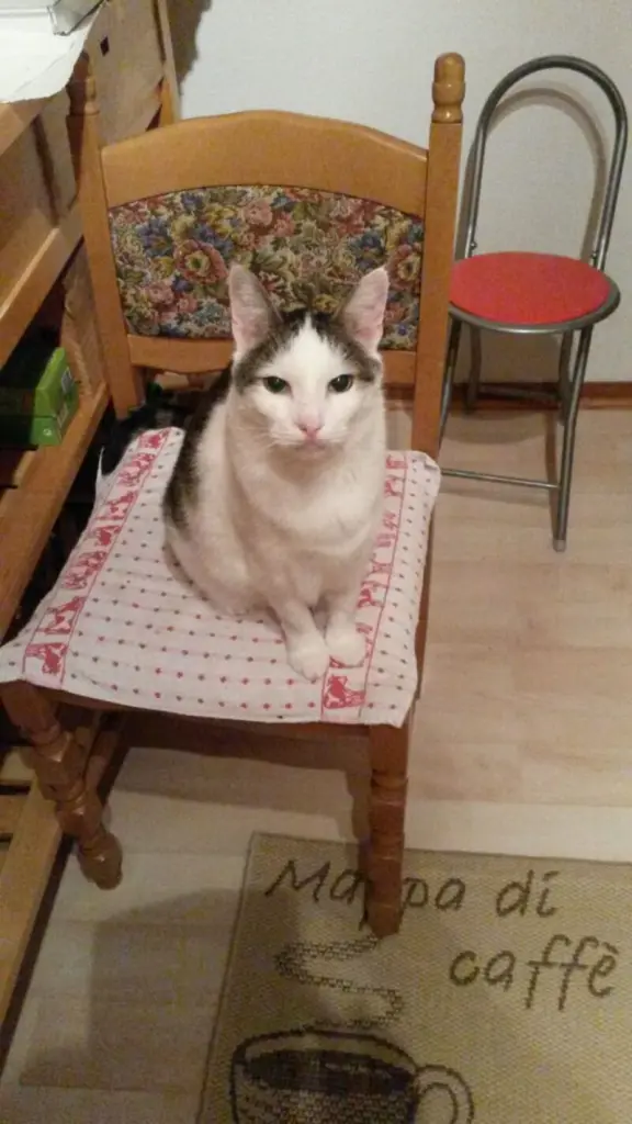 Andachtsbild von ❤Deine Mutti Eike und Oma Edeltraud ❤ 