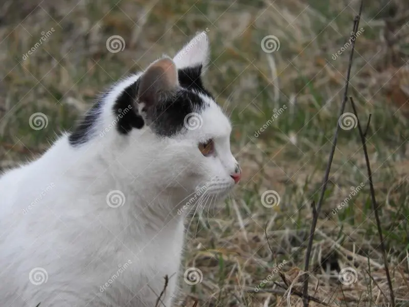 Andachtsbild von Tanja mit Timmy im Herzen 