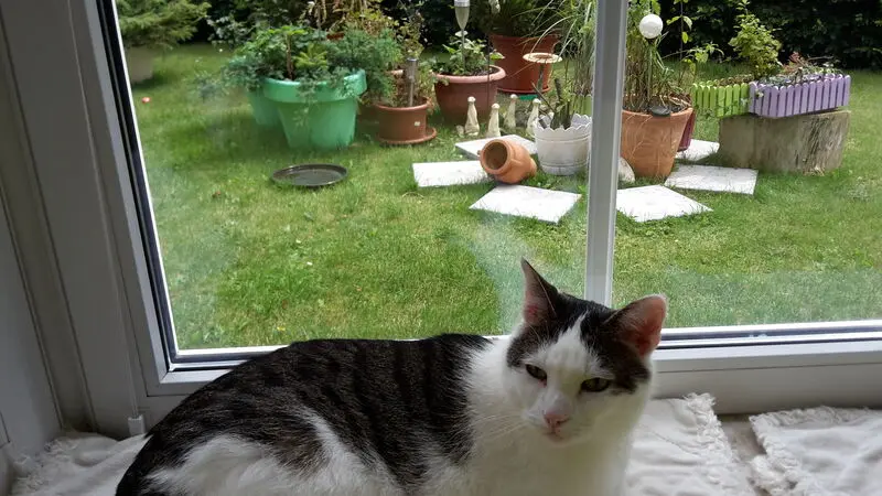 Andachtsbild von ❤Deine Mutti und deine Oma ❤ 