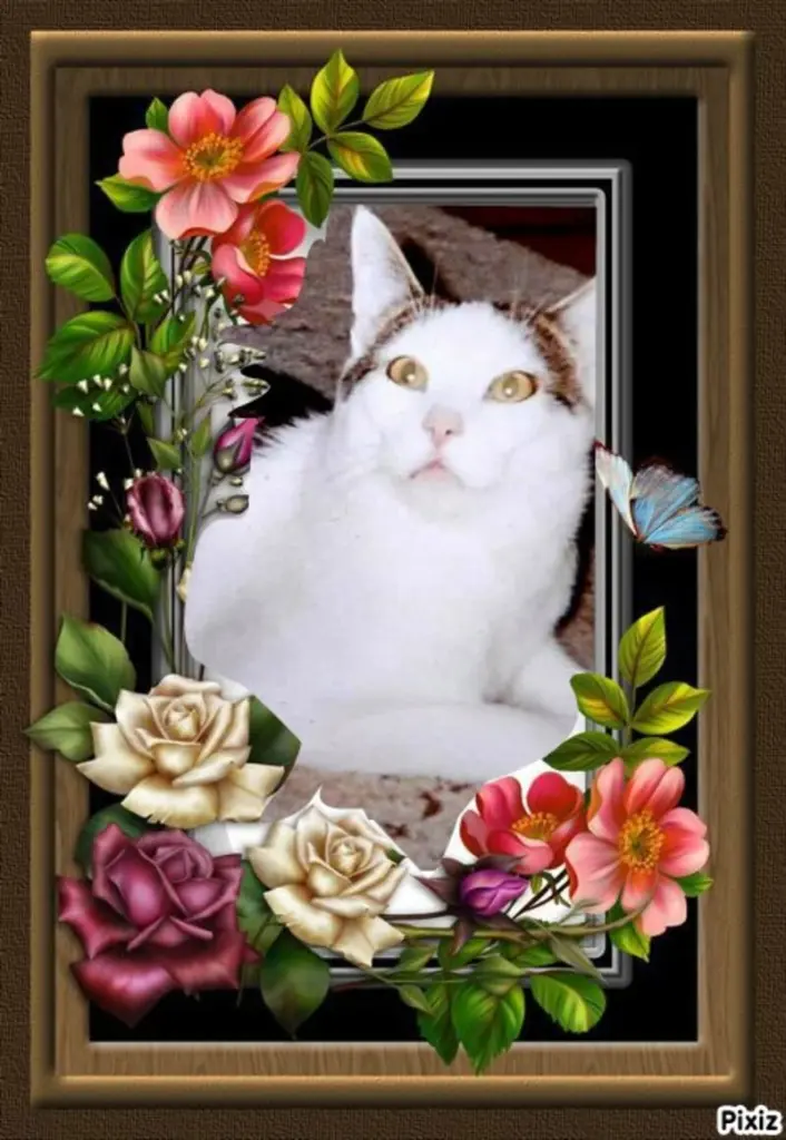 Andachtsbild von Tanja mit Timmy im Herzen 