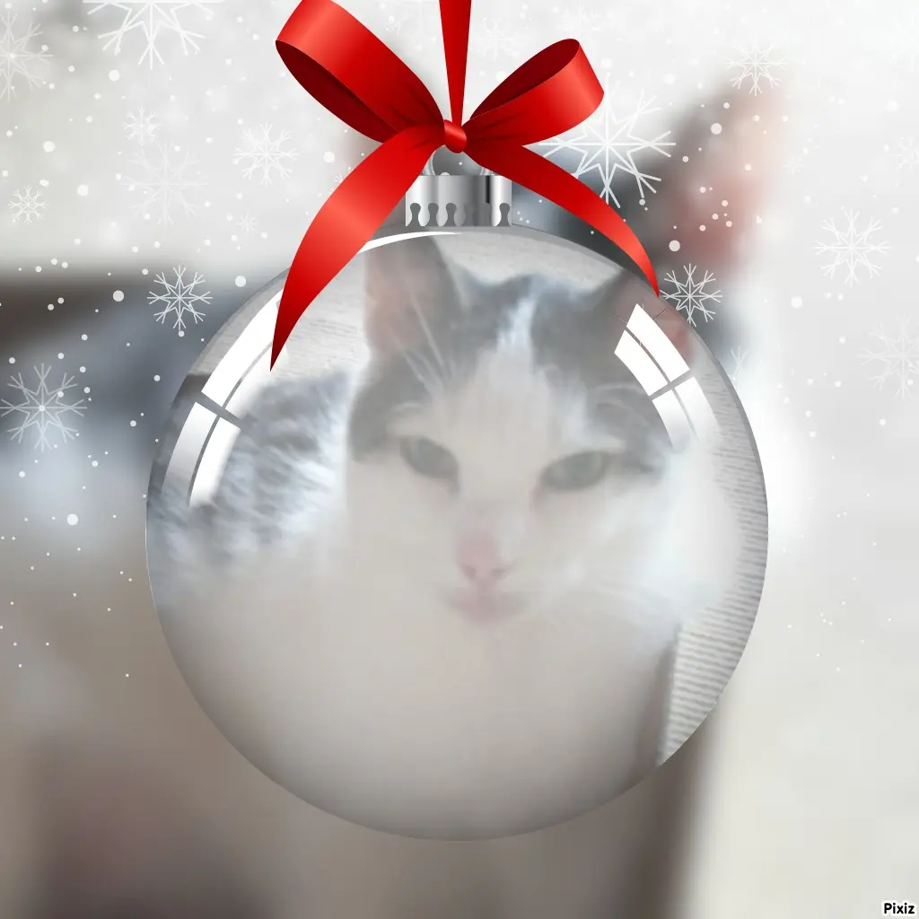 Andachtsbild von Tanja mit Timmy im Herzen 