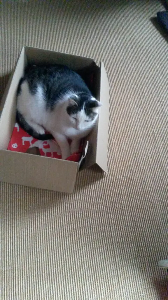 Andachtsbild von ❤Deine Mutti Eike und Oma Edeltraud ❤ 