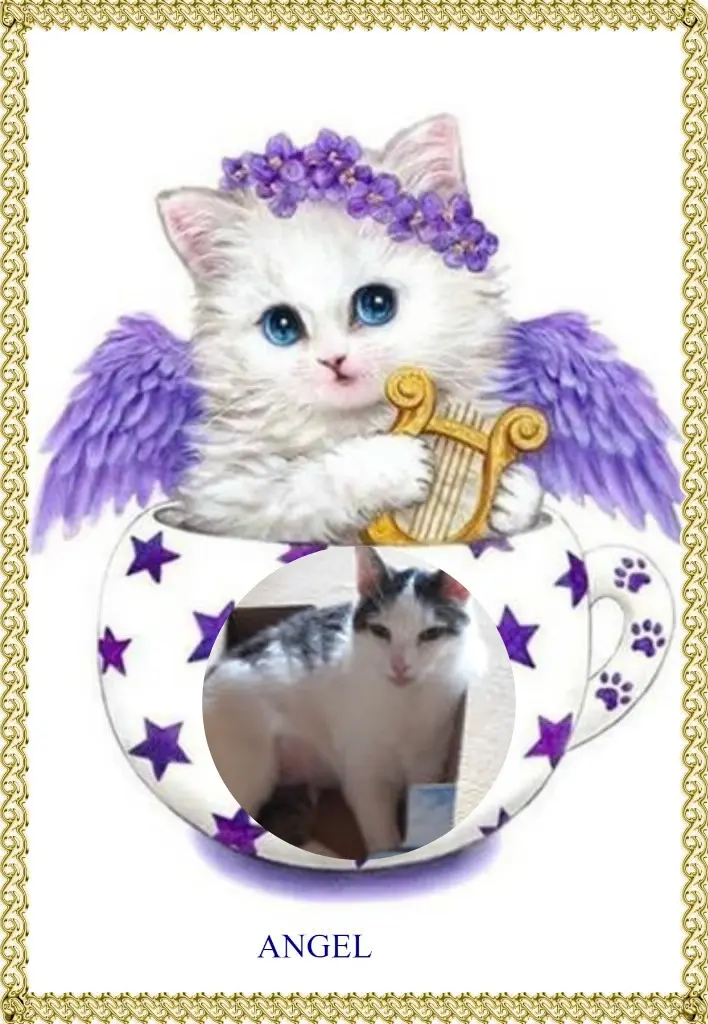 Andachtsbild von 17.Gedenk❤️❤️❤️Monat❤️