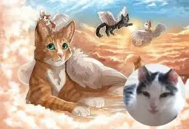 Andachtsbild von ❤️❤️❤️❤️❤️❤️❤️❤️❤️❤️❤️