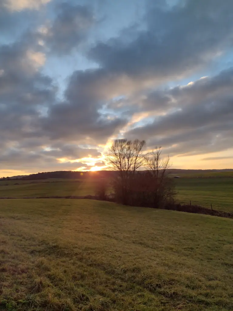 Andachtsbild von Corinna mit Emma, Pummelchen und anderen Sternleine im Herzen