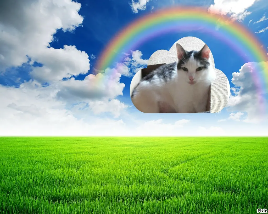 Andachtsbild von Tanja mit Timmy im Herzen 