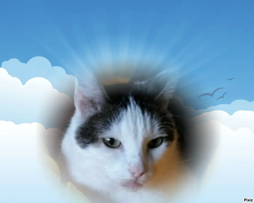 Andachtsbild von Tanja mit Timmy im Herzen 