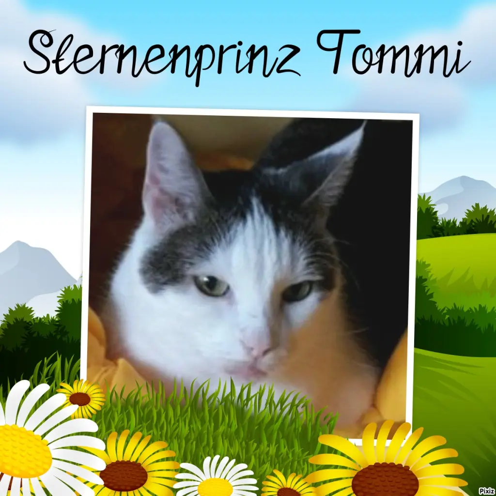 Andachtsbild von Tanja mit Timmy im Herzen 