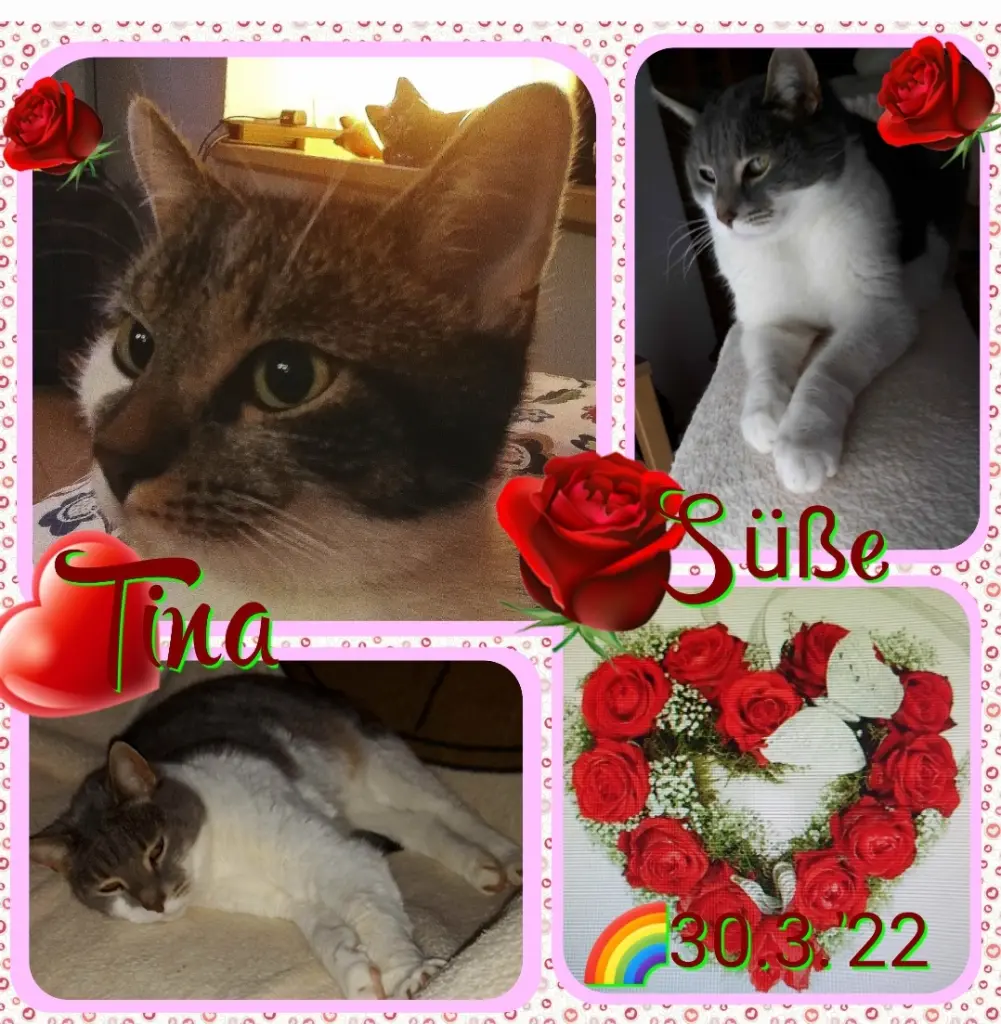 Andachtsbild von ❤Deine Mutti Eike und Oma Edeltraud ❤