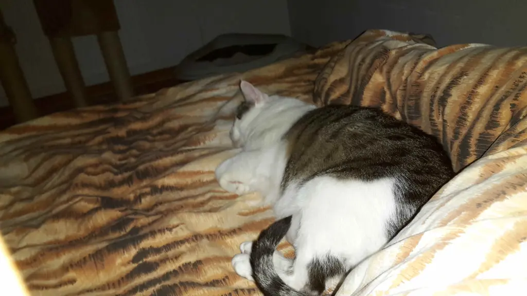 Andachtsbild von ❤Deine Mutti Eike und Oma Edeltraud ❤ 