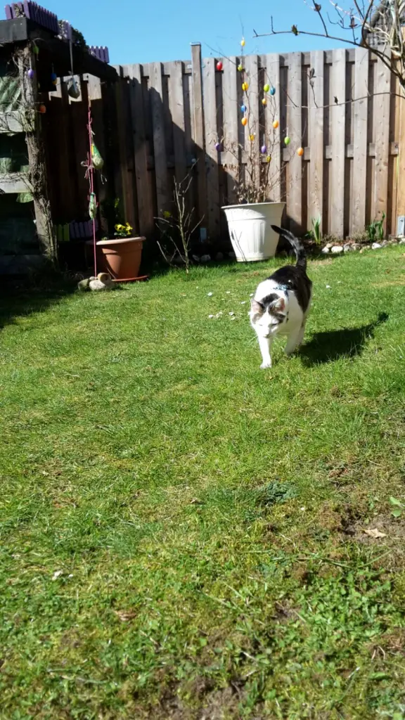 Andachtsbild von ❤️Deine Mutti und deine Oma ❤️ 