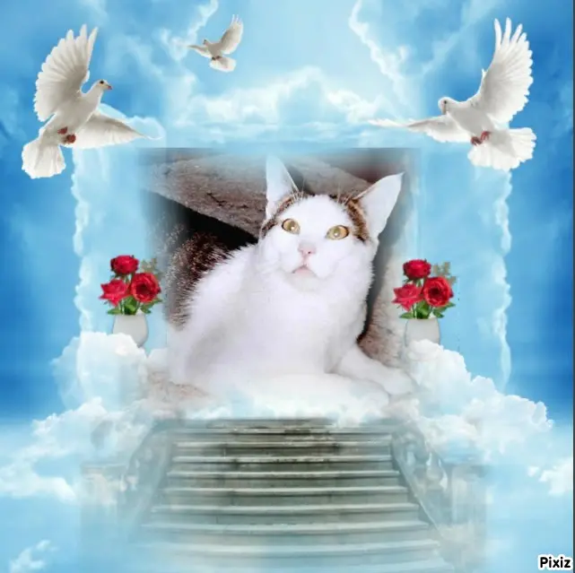 Andachtsbild von Tanja mit Timmy im Herzen 