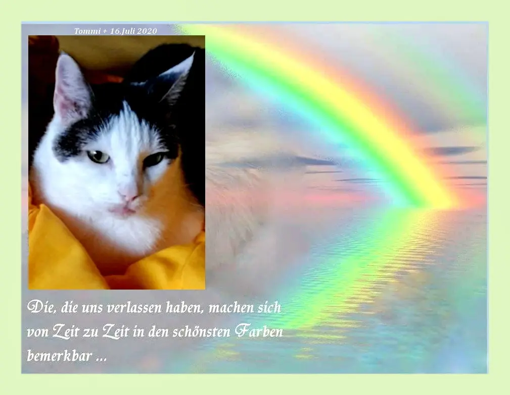 Andachtsbild von Sabine mit Kaspar tief im Herzen☸ڿڰۣ❤️