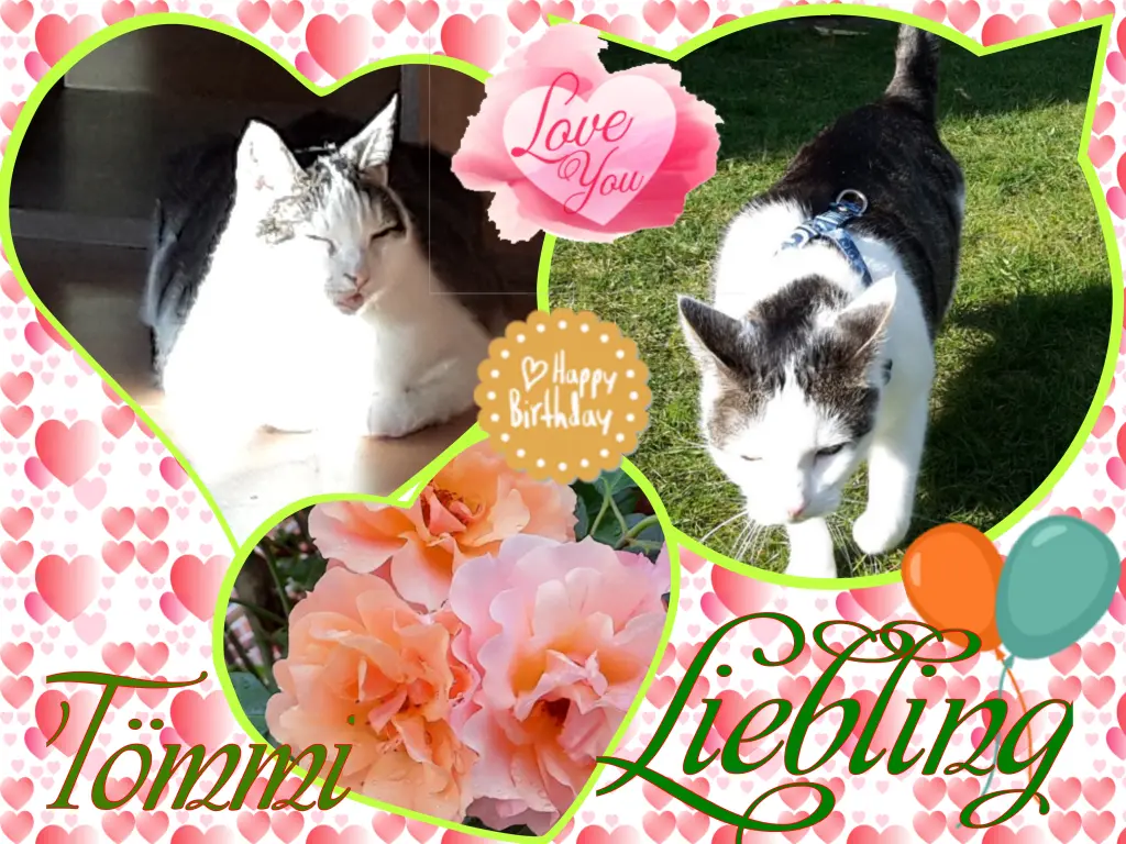 Andachtsbild von ❤️Deine Mutti und deine Oma ❤️ 