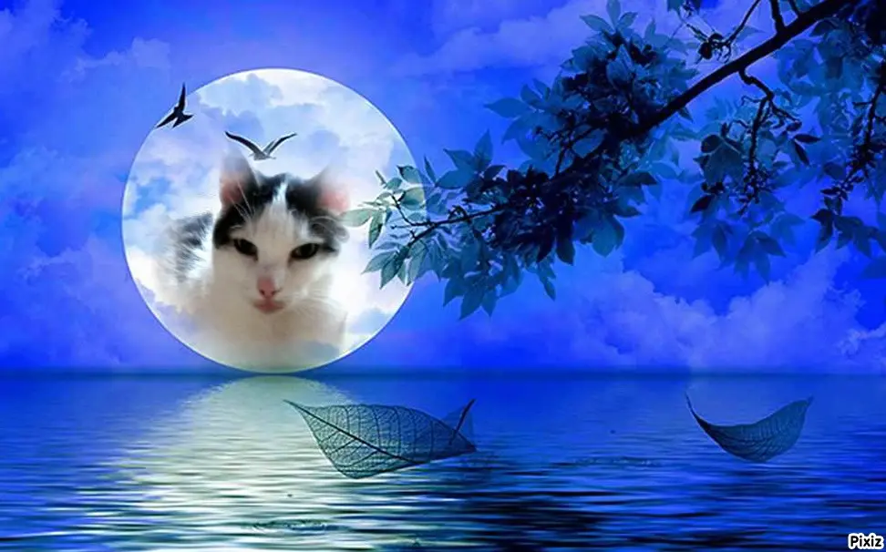 Andachtsbild von Tanja mit Timmy im Herzen 