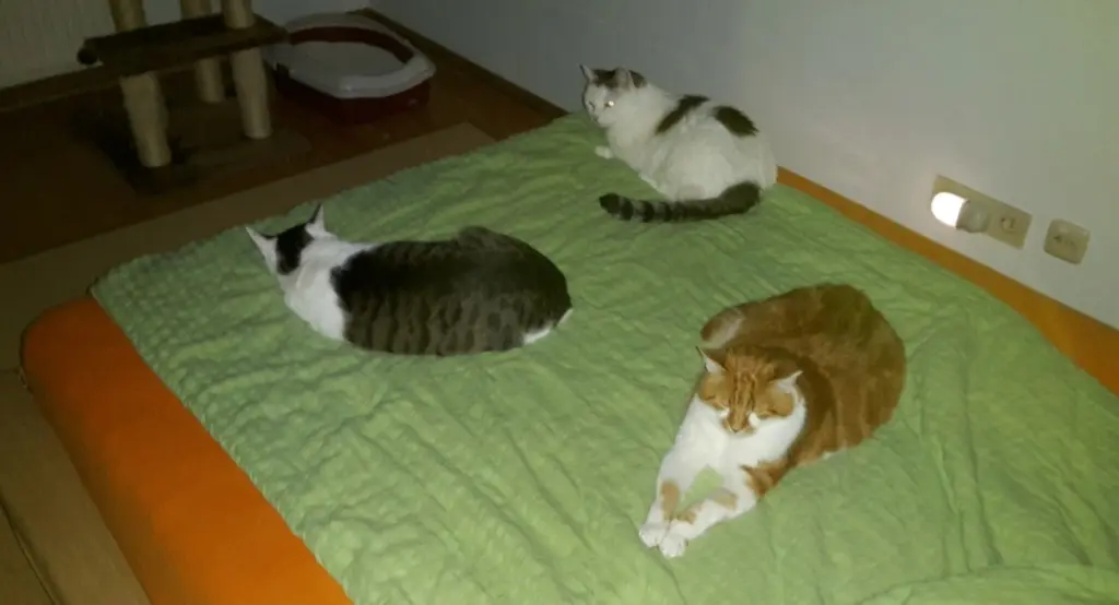 Andachtsbild von ❤️Deine Mutti und deine Oma ❤️ 