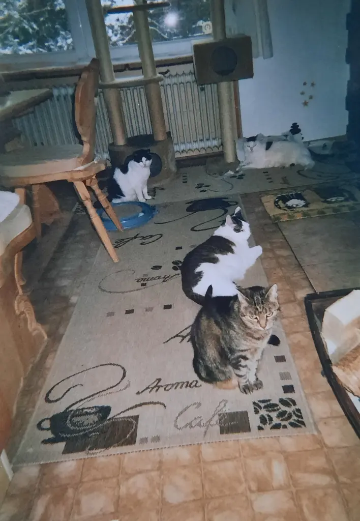 Andachtsbild von ❤️Deine Mutti und deine Oma ❤️ 