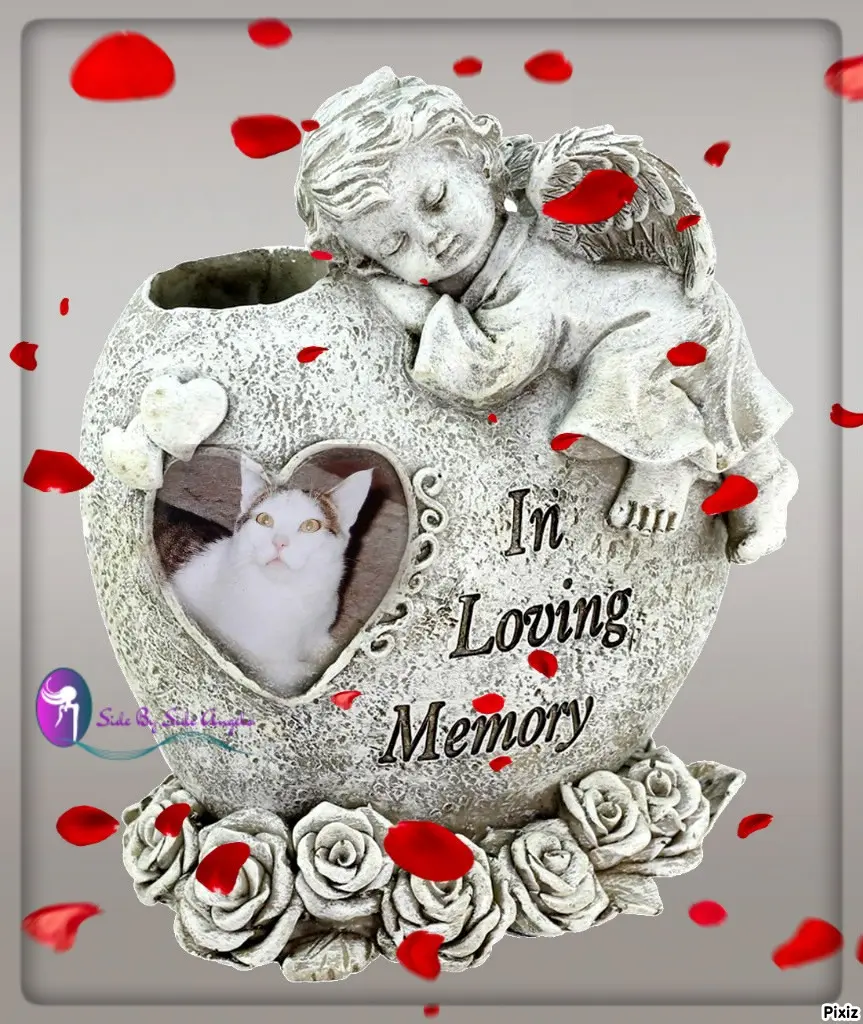 Andachtsbild von Tanja mit Timmy im Herzen 