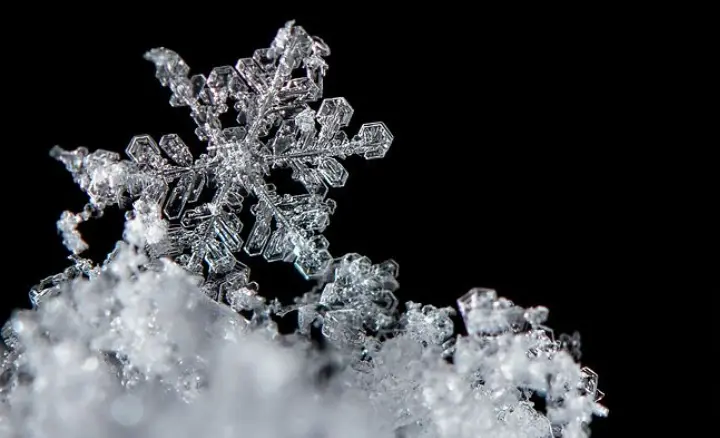 Andachtsbild von Corinna mit Emma, Pummelchen und anderen Sternlein im Herzen