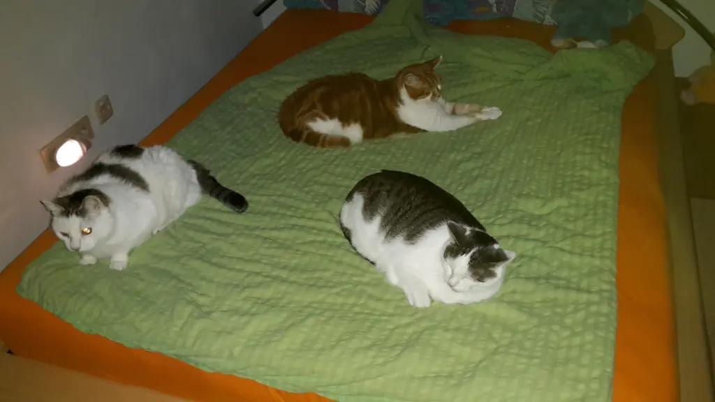 Andachtsbild von ❤️Deine Mutti und deine Oma ❤️ 