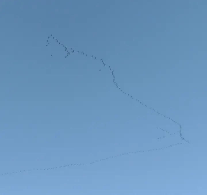 Andachtsbild von Corinna mit Emma, Pummelchen und anderen Sternlein im Herzen