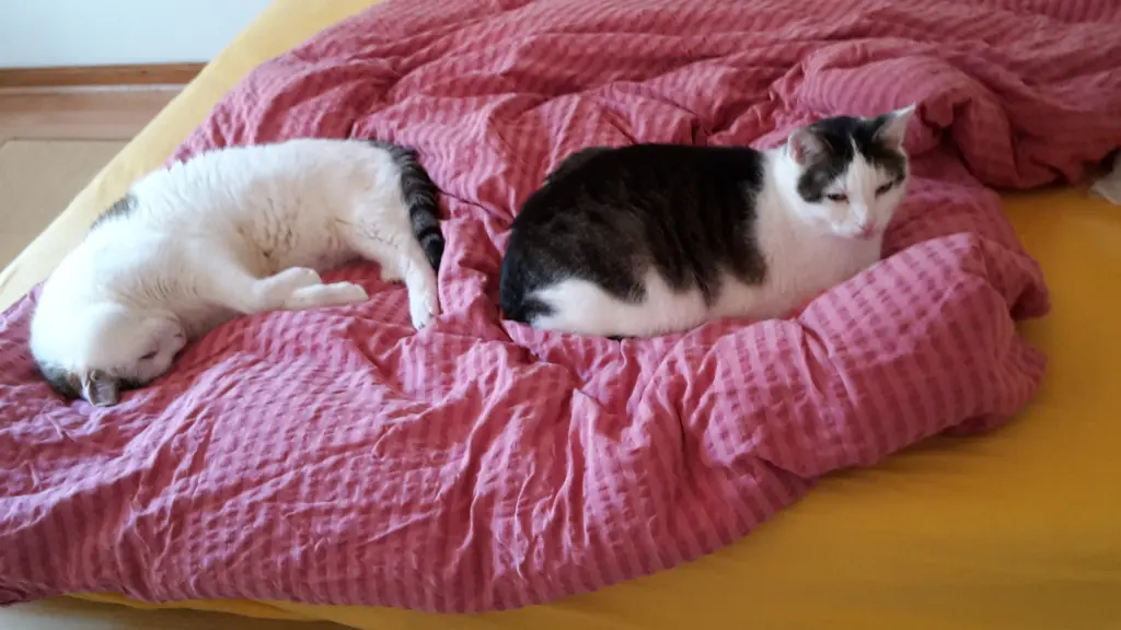 Andachtsbild von ❤️Deine Mutti und deine Oma ❤️ 