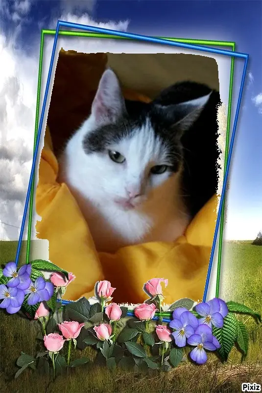 Andachtsbild von Tanja mit Timmy im Herzen 