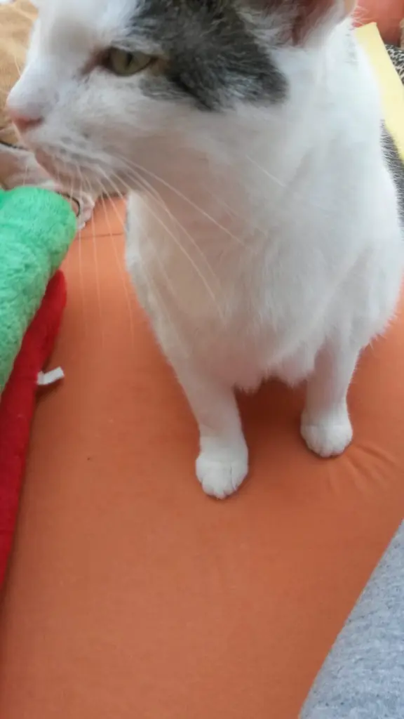 Andachtsbild von ❤️Deine Mutti und deine Oma ❤️