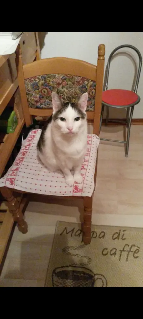 Andachtsbild von ❤️Deine Mutti Eike und Oma Edeltraud ❤️