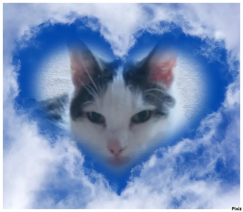 Andachtsbild von Tanja mit Timmy im Herzen 