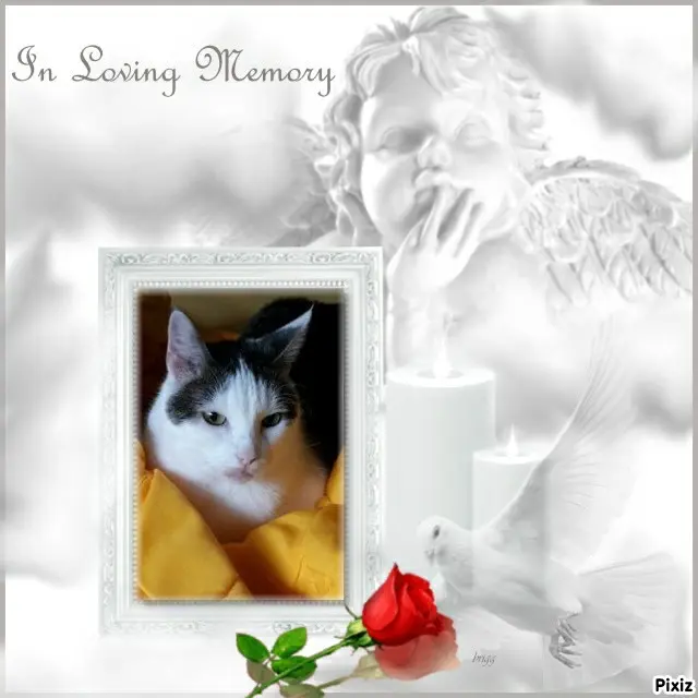 Andachtsbild von Tanja mit Timmy im Herzen 