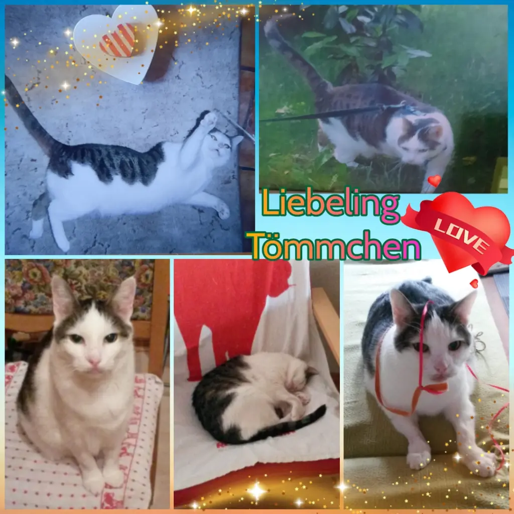 Andachtsbild von ❤️Deine Mutti Eike und Oma Edeltraud ❤️